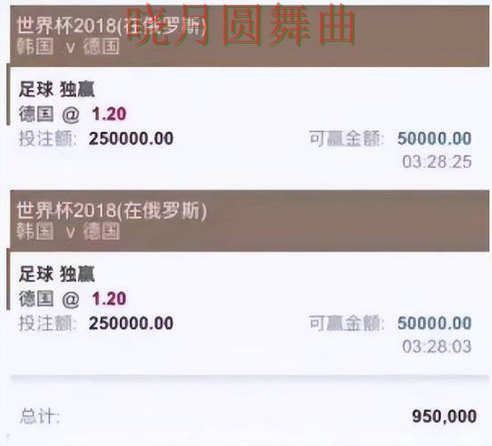 世界杯投注平台热门玩法适合哪些人详细解析